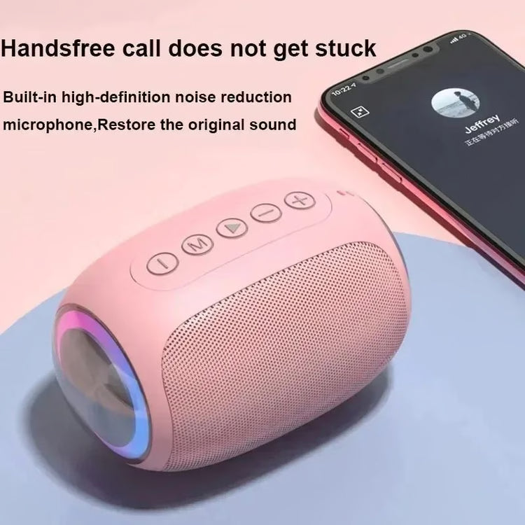 Portable Bluetooth Speaker