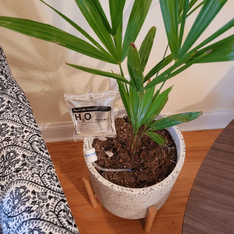 Plant Life Support Drip Watering System