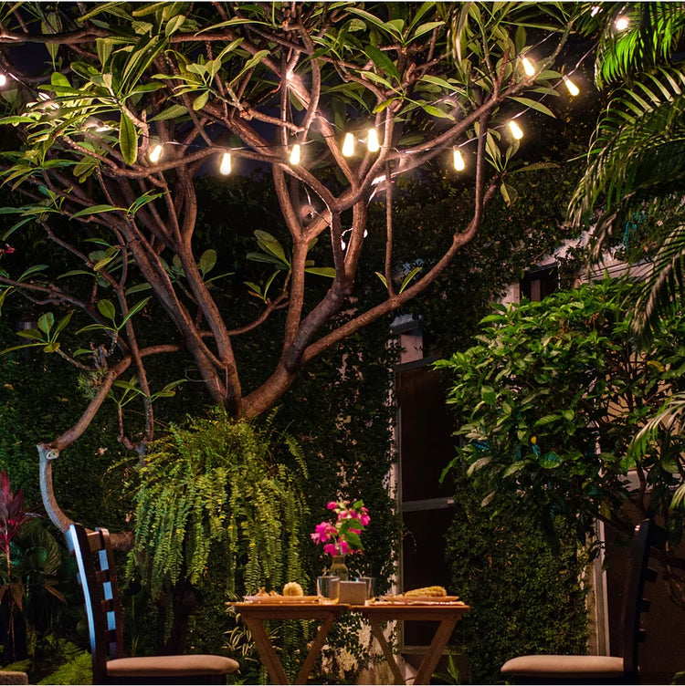 Italian Cafe Solar Powered Vintage Bulbs