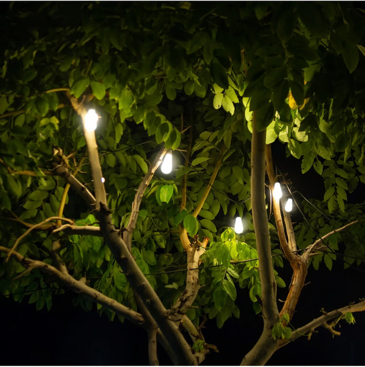Italian Cafe Solar Powered Vintage Bulbs